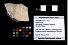 Foto (Objekt + Etikett) von Pithonoton sp.  (NHMW-GEO-1990-0041-3321)